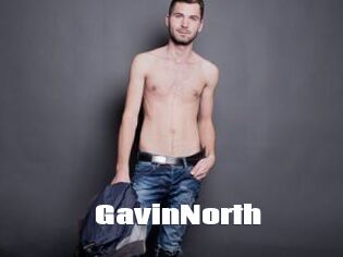 GavinNorth
