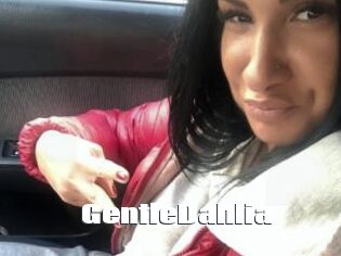 GentleDahlia