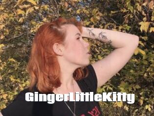 GingerLittleKitty