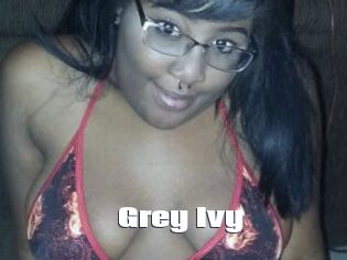 Grey_Ivy