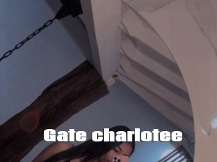 Gate_charlotee