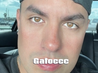 Gatoccc