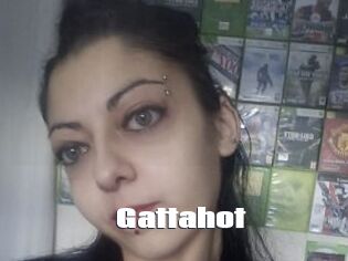 Gattahot