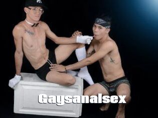 Gaysanalsex
