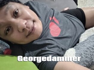 Georgedammer