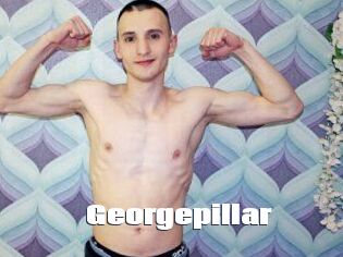 Georgepillar