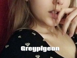 greypigeon The hot porn