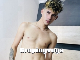 Gropingvoys