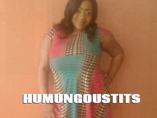 HUMUNGOUSTITS