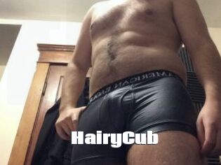 HairyCub