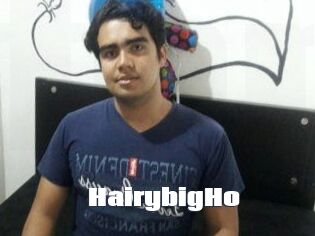 HairybigHo
