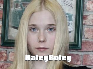 HaleyBoley