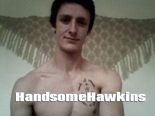 HandsomeHawkins