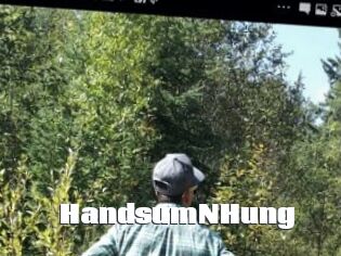 HandsumNHung