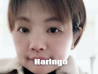 Haringo