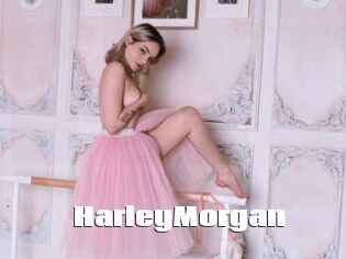 HarleyMorgan