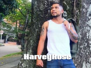 HarveyRose