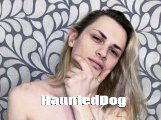 HauntedDog