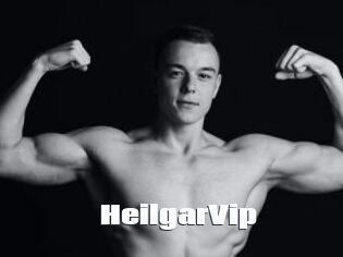 HeilgarVip