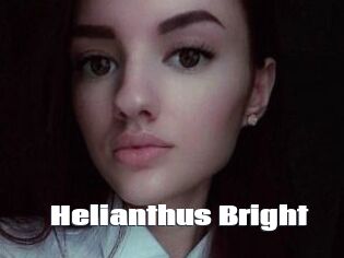 Helianthus_Bright