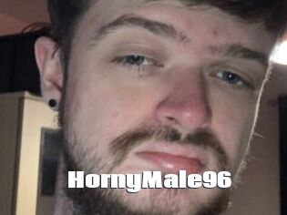 HornyMale96