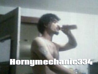 Hornymechanic334