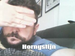 Hornystijn