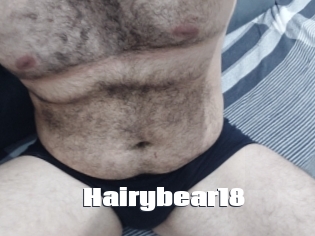 Hairybear18