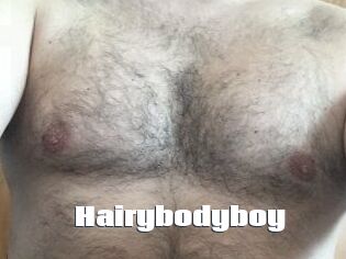 Hairybodyboy