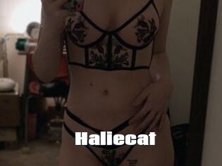 Haliecat
