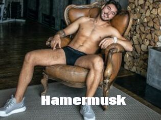 Hamermusk