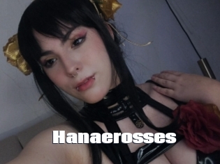 Hanaerosses