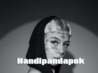 Handipandapok