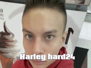Harley_hard24