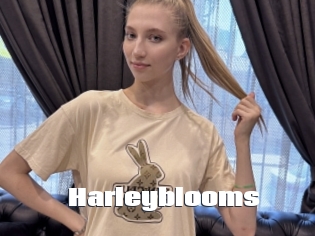 Harleyblooms