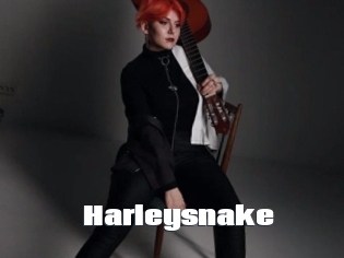 Harleysnake