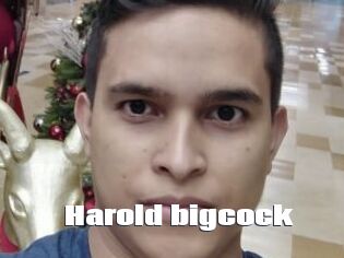 Harold_bigcock