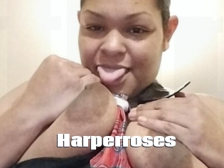 Harperroses