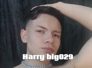 Harry_big029