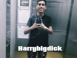 Harrybigdick