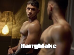 Harryblake