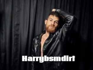 Harrybsmdirt