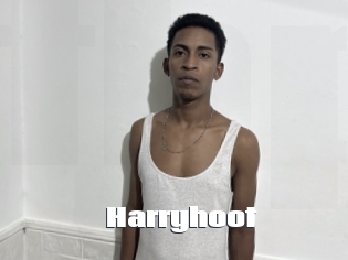 Harryhoot