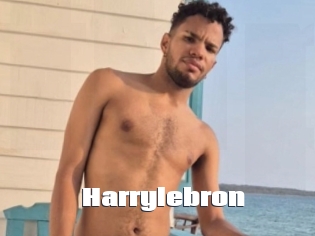 Harrylebron