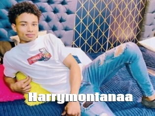 Harrymontanaa