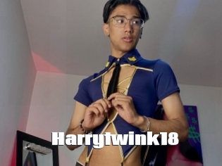 harrytwink18 The hot porn