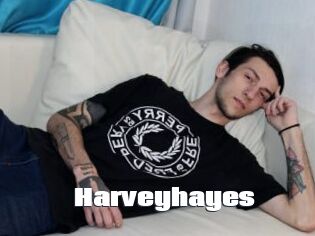 Harveyhayes