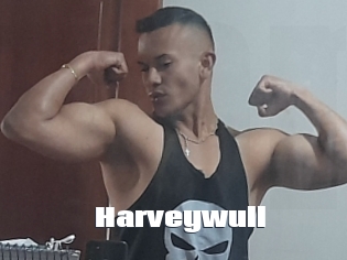 Harveywull