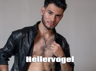 Heilervogel