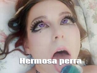 Hermosa_perra